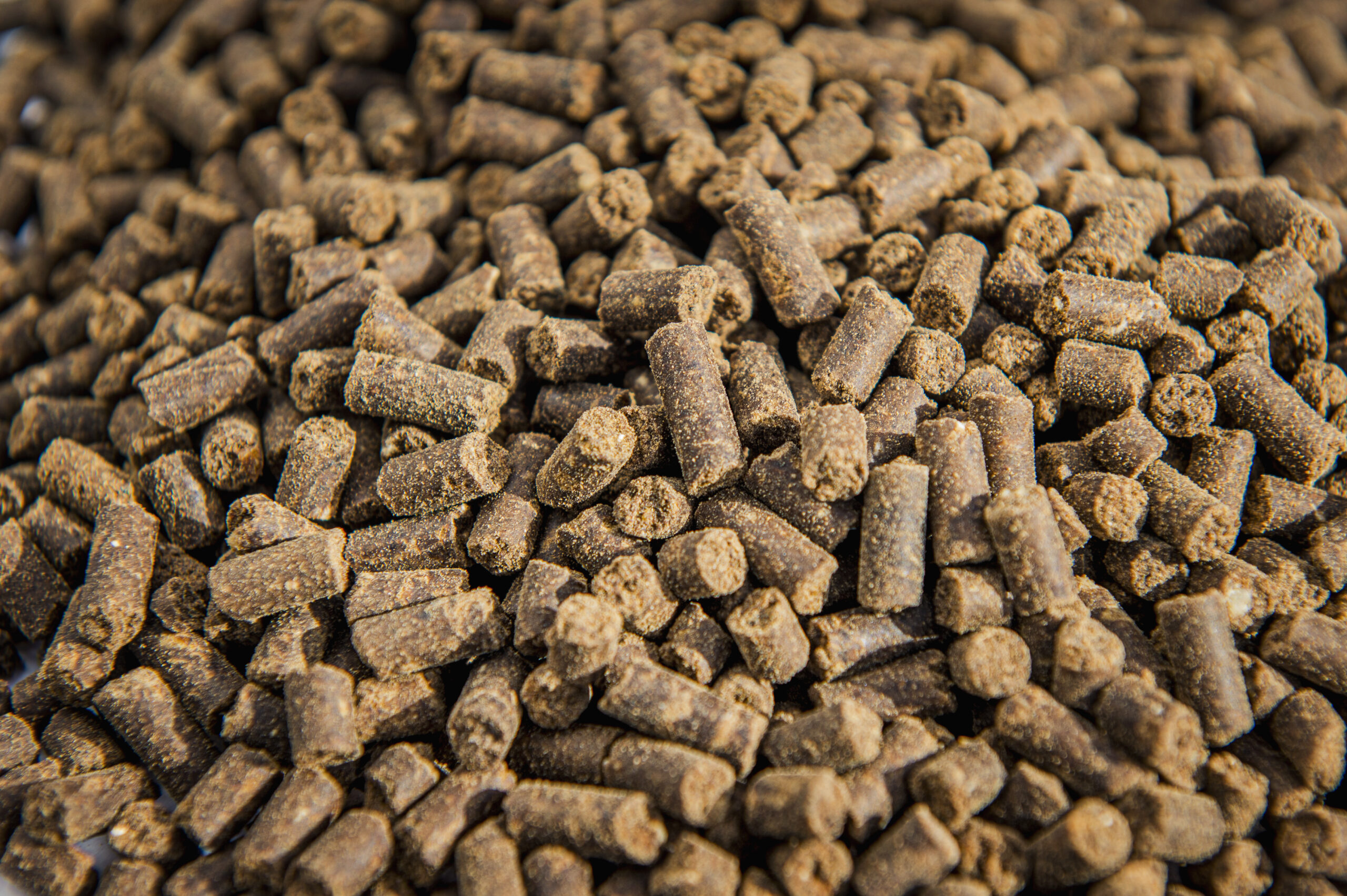 What Is Meat And Bone Meal mbm PLANT I BOOST
