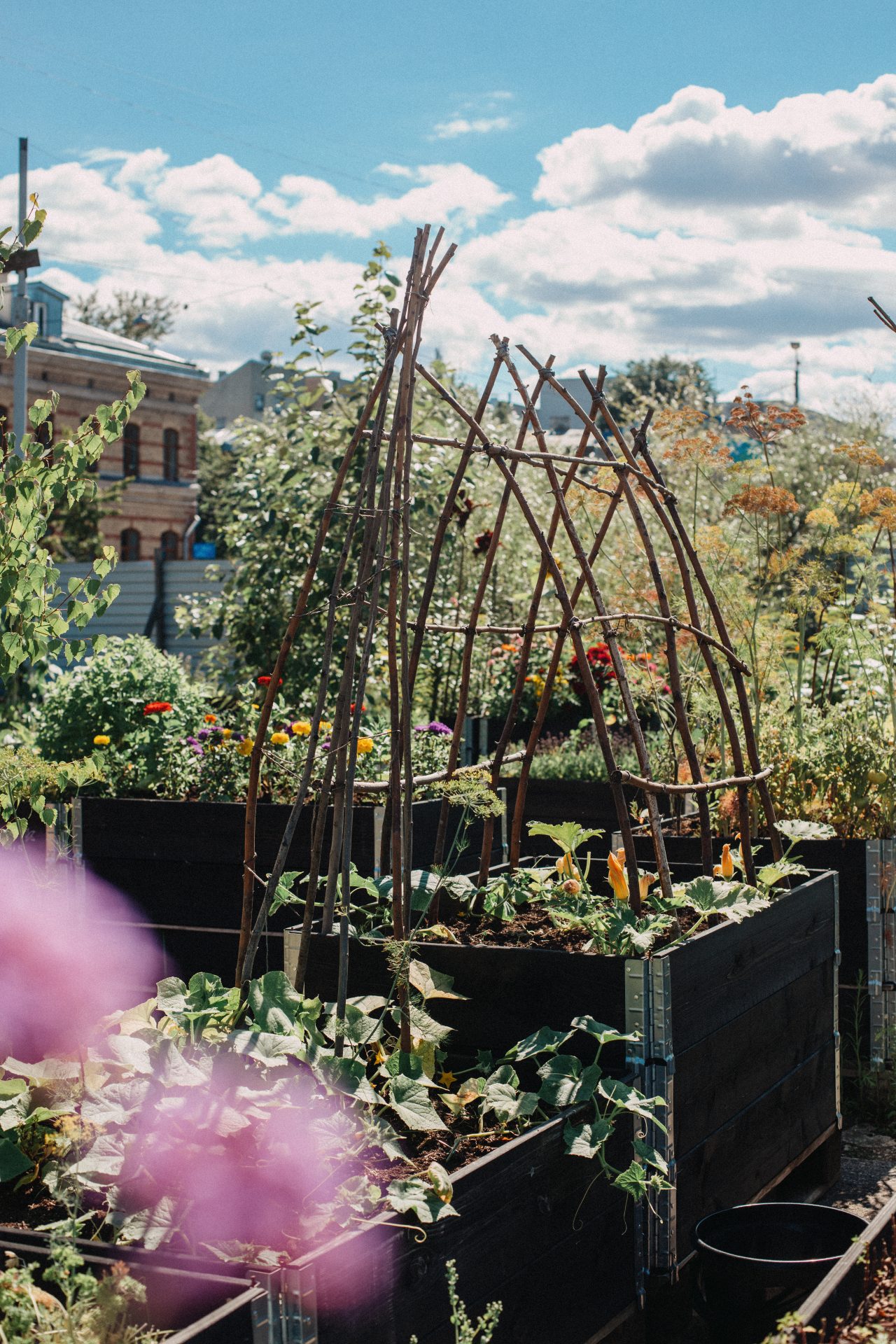 When to start the gardening season